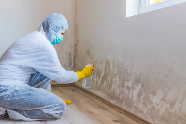 Licensed Commercial Mold Remediation service in Loysville, PA - WQB Mold Removal
