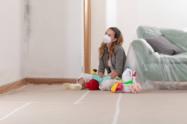 Reliable Commercial Mold Remediation contractor in Loysville, PA by WQB Mold Removal